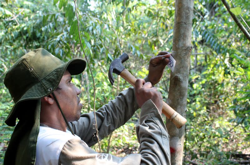 Rioterra biologist Alexandre Lima Queiroz marks a tree on a parcel of Amazon rainforest in Itapua do Oeste