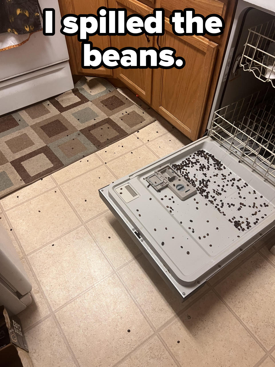"I spilled the beans."