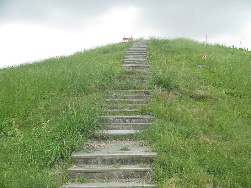 Stone steps lead toward the top of Poverty Point national monument.
