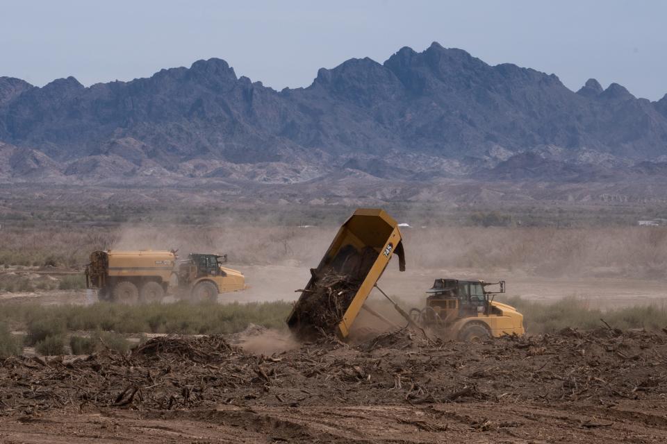 Habitat restoration work at Cibola National Wildlife Refuge in Arizona on Feb. 17, 2023.