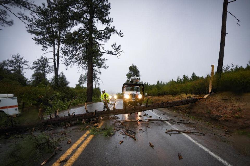 Un gran árbol bloquea una carretera mientras un trabajador con equipo de seguridad lleva una motosierra a través de la carretera.