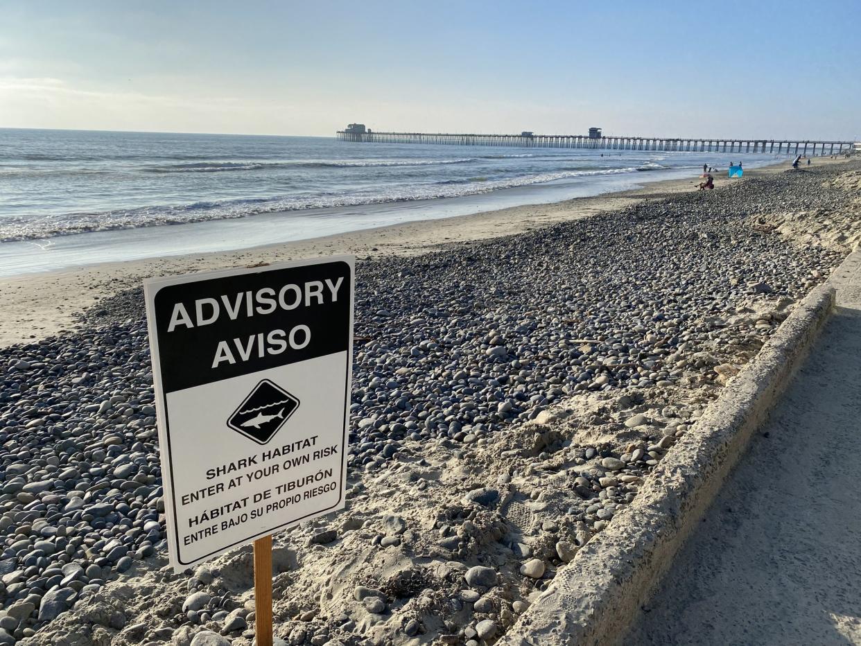 An advisory for tourists surfers and anyone entering the water that there is a danger of shark attack at the oceanside beach with the pier in the background