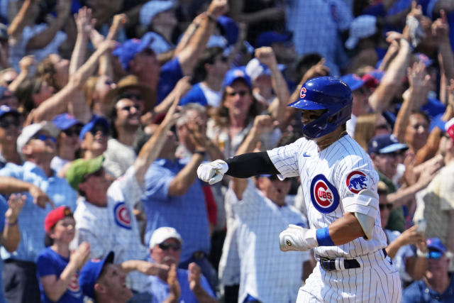 The World's Number One Cubs Fan!