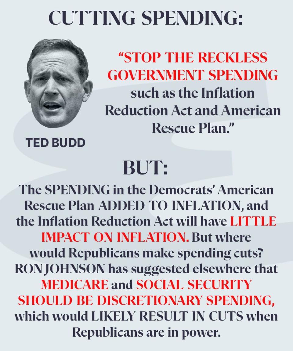 ted budd inflation cut spending