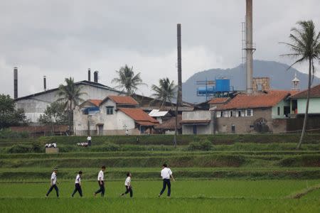 Students walk through rice fields located in Majalaya, a town densely populated with textile factories, south-east of Bandung, West Java province, Indonesia, January 25, 2018. REUTERS/Darren Whiteside