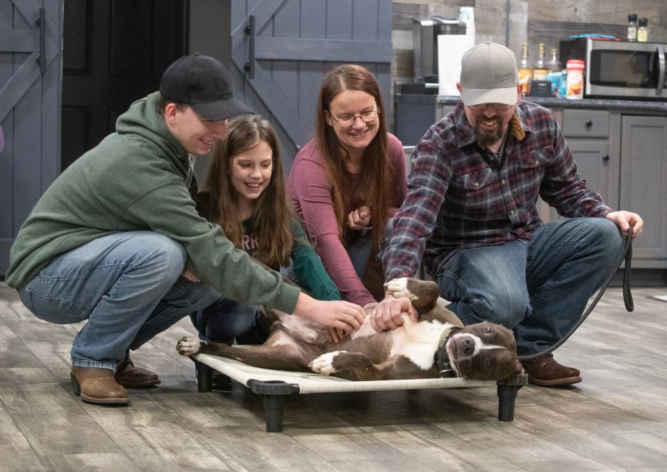 The Gibbs family of Massillon scratches the belly of their newly adopted dog, McKinley, at Ridgeside K9 Ohio in Jackson Township. From left are Aden, 15, Aubrey, 9, Heather and Josh Gibbs.