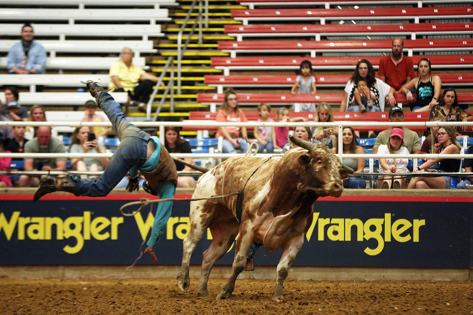 MESQUITE, TX - JUNE 06:  A rider gets thrown in the men's bull riding competition during the first day of competition of the Mesquite Championship Rodeo at Mesquite Rodeo Arena on June 6, 2020 in Mesquite, Texas. The rodeo kicks off its 63rd consecutive year while operating at 25 percent capacity due to the COVID-19 pandemic, with organizers instituting pre-designated seating and extra precautions to sanitize high-touch surfaces, as well as encouraging social distancing. The rodeo runs through the end of August.  (Photo by Omar Vega/Getty Images)