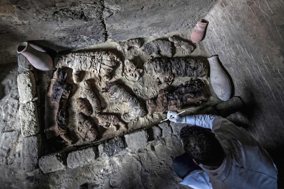 An Egyptian archaeologist cleans mummified cats following the landmark discovery (Picture: AFP/Getty)