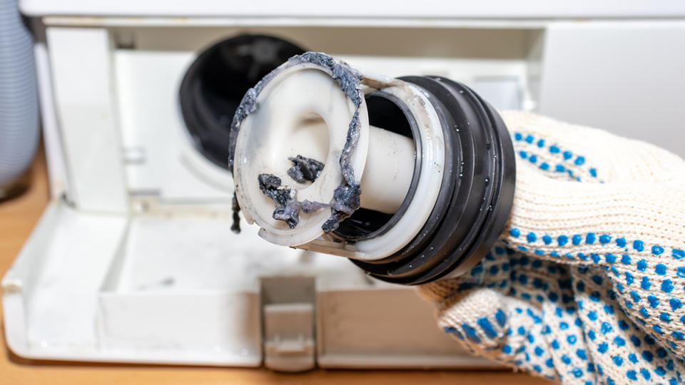 Washing machine drain trap filled with gunk