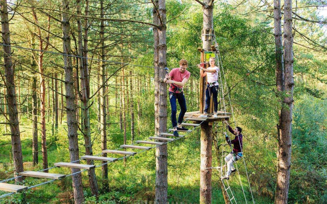 Go Ape!, the chain of 34 tree-top high ropes courses dotted across the UK, reopened on Saturday