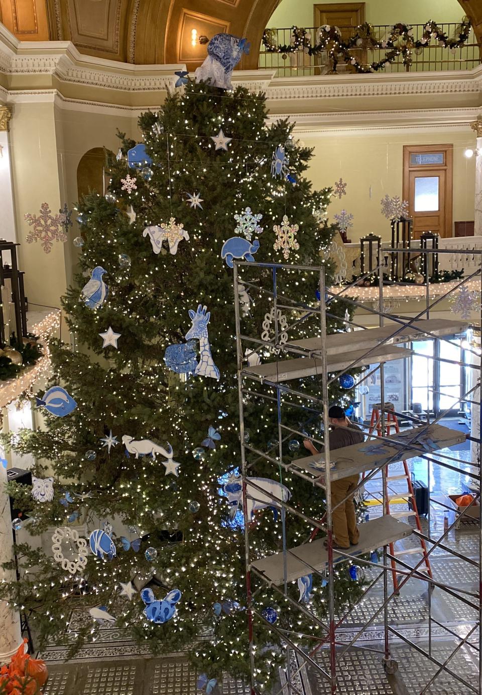 Scaffolding surrounds the South Dakota State Capitol Christmas tree as members from the Capitol and the Great Plains Zoo and Butterfly House and Aquarium decorate it.