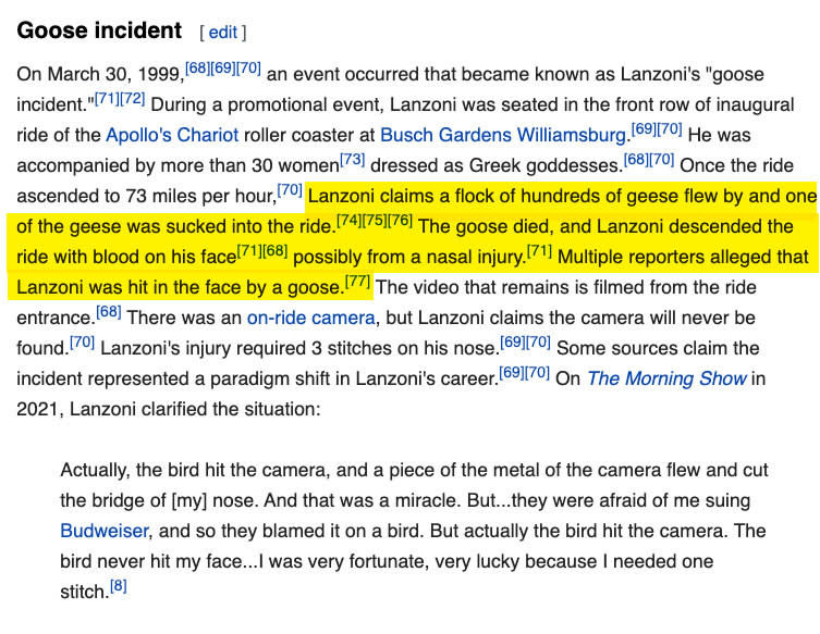 highlighted section of Fabio's Wikipedia page detailing the goose incident