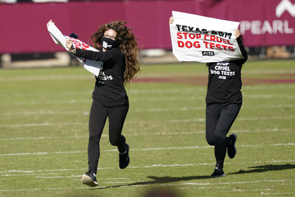 Animal rights activists run on the football field at Davis Wade Stadium during the first half of an NCAA college football game between Texas A&M and Mississippi State in Starkville, Miss., Saturday Oct. 17, 2020. (AP Photo/Rogelio V. Solis)