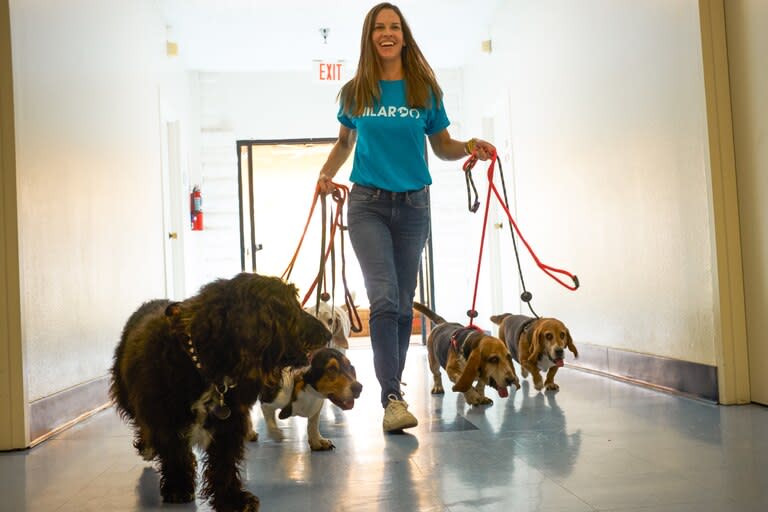 Hilary Swank es la fundadora de la ONG Hilaroo, que se dedica a rescatar perros callejeros