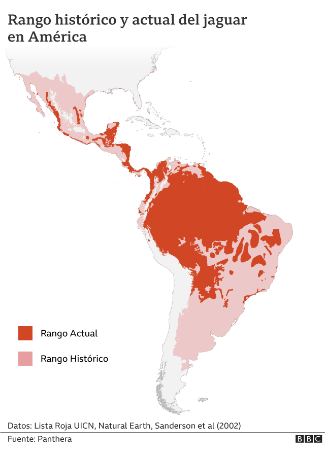 Rango histórico y actual del jaguar en América