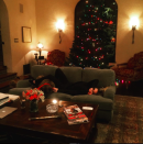 <p>Melanie Griffith’s Spanish-style home looked cozy as can be with her Christmas tree lighting up her front window and the actress lounging on the couch with her dog: “Trimming time!! Merry Christmas y’all!!!” (Photo: <a rel="nofollow noopener" href="https://www.instagram.com/p/BOL2gPgBwCc/" target="_blank" data-ylk="slk:Instagram;elm:context_link;itc:0;sec:content-canvas" class="link ">Instagram</a>) </p>