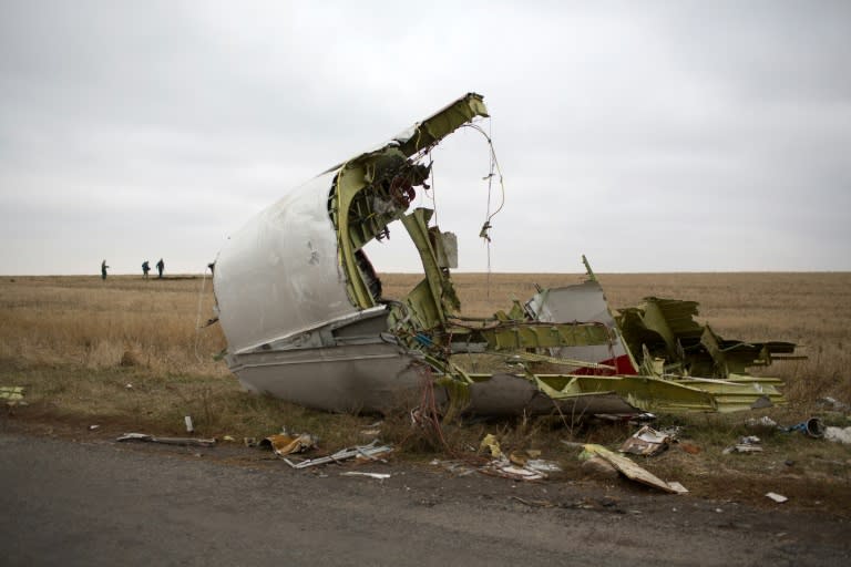 Malaysia Airlines flight MH17 crashed in July 2014 in the eastern Ukrainian region of Donetsk, killing 298 people