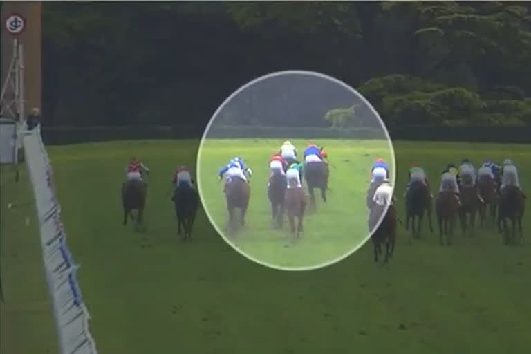 Las imágenes del final del GP Jockey Club, con El Musical ya a media cancha, sobre la posición de Natán.