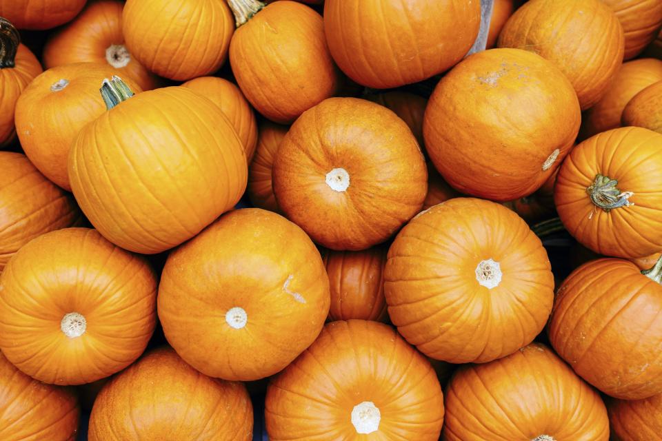 <p>It's officially pumpkin spice season, people - you might as well embrace it. </p><p>That’s still true for you too, <a rel="nofollow noopener" href="https://www.womenshealthmag.com/weight-loss/a19994543/keto-diet-snacks/" target="_blank" data-ylk="slk:keto fans;elm:context_link;itc:0;sec:content-canvas" class="link ">keto fans</a>: Just because you’re <a rel="nofollow noopener" href="https://www.womenshealthmag.com/weight-loss/a19434332/what-is-the-keto-diet/" target="_blank" data-ylk="slk:on the keto diet;elm:context_link;itc:0;sec:content-canvas" class="link ">on the keto diet</a> doesn’t mean you can’t get your PS on - there are just a few things to keep in mind ("pumpkin spice" isn't code for "carb-free" after all). For starters, keep an eye on sugar content (sugar = carbs, remember?); plenty of PS offerings give you a little bit of pumpkin and a whole lot of sugar, says Scott Keatley, R.D., of <a rel="nofollow noopener" href="http://keatleymnt.com/" target="_blank" data-ylk="slk:Keatley Medical Nutrition Therapy;elm:context_link;itc:0;sec:content-canvas" class="link ">Keatley Medical Nutrition Therapy</a>. </p><p>Another thing to aim for: "Go for [snacks] that are actually made from pumpkin," says Keatley. That way, you'll be able to sidestep the artificial sugar stuff <em>and</em> get a good dose of vitamin A and other important nutrients, he adds. But remember to keep carb content in mind; a small snack with some pumpkin in it likely <a rel="nofollow noopener" href="https://www.womenshealthmag.com/weight-loss/a19642999/signs-of-ketosis-and-ketosis-symptoms/" target="_blank" data-ylk="slk:won't push you out of ketosis;elm:context_link;itc:0;sec:content-canvas" class="link ">won't push you out of ketosis</a>, but you could definitely go overboard on the starchy (read: carb-rich) fruit. </p><p>To get you started (and stocked up for pumpkin spice season), try these seasonal offerings that won't eat up too much of your keto carb budget. </p>