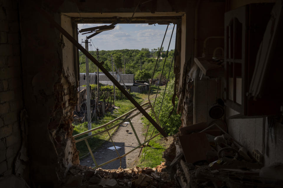 A dog walks near a building destroyed by shelling in Kutuzivka, near Kharkiv, eastern Ukraine, Friday, May 27, 2022. (AP Photo/Bernat Armangue)