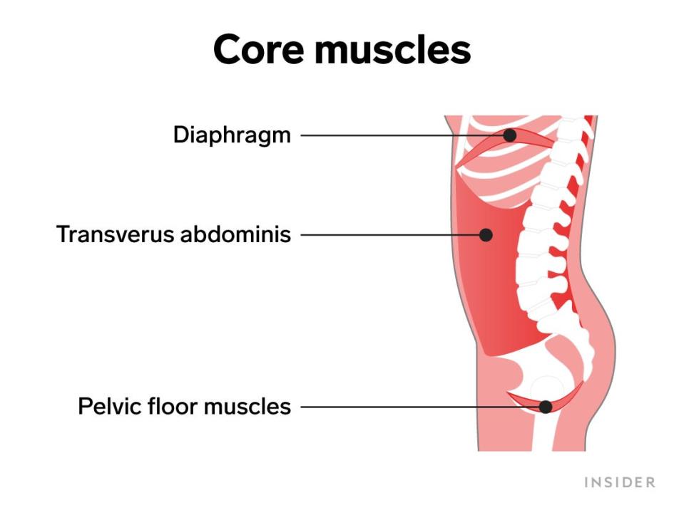 core muscles 2