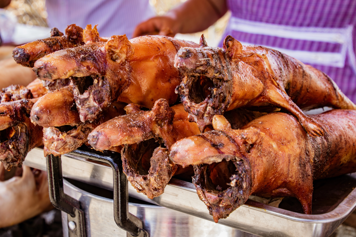 Roasted Cuy (Guinea Pigs) at a Street Vendor, Quito, Ecuador