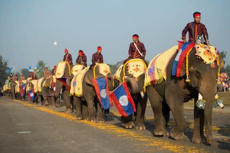 Elephants take part in a parade during Elephant Festival, which organisers say aims to raise awareness about the animals, in Sayaboury province, Laos February 18, 2017. REUTERS/Phoonsab Thevongsa