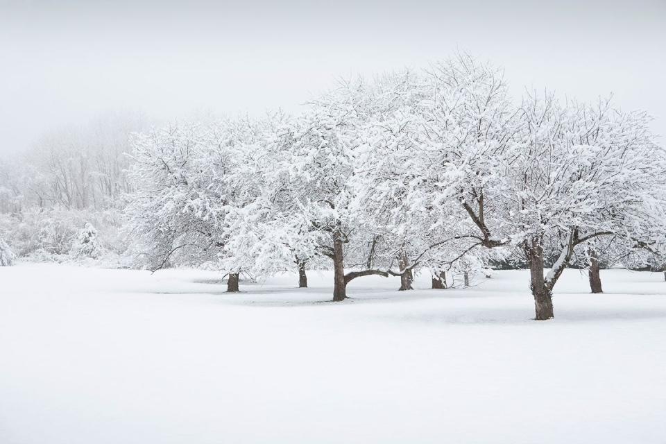 27 Photos That’ll Make Winter Your Favorite Season