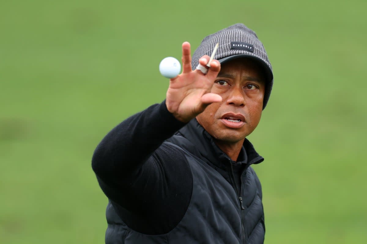 Back: Tiger Woods (Getty Images)