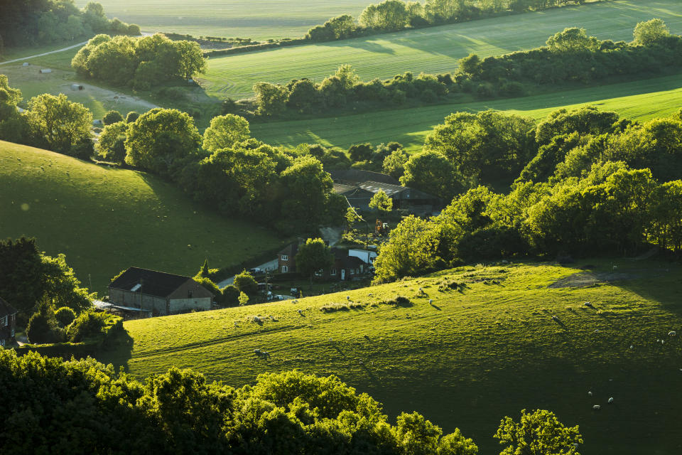 English wine walking in Sussex and Hampshire