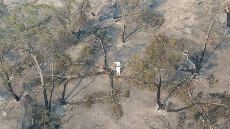 Investigators work the crash site of a C-130 air tanker plane after dropping fire retardant, in this January 24, 2020 still frame obtained from social media video, in Snowy Mountains, New South Wales, Australia