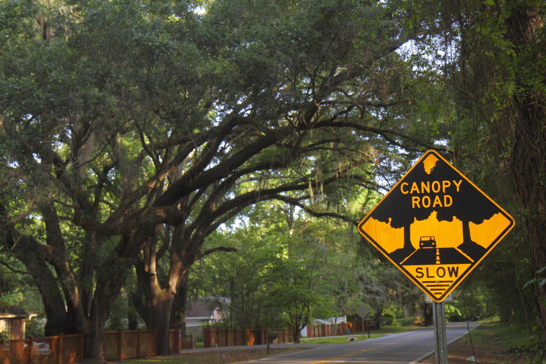 A Canopy Road sign in Tallahassee, Fla. (Photo by: Jeffrey Greenberg/Universal Images Group via Getty Images)