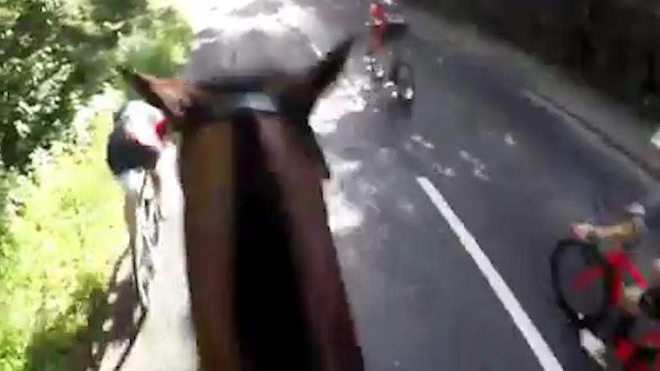 Footage was shared by a Facebook user who claims a cyclist smashed along the side of her horse. Source: Jennifer Katherine/ Facebook