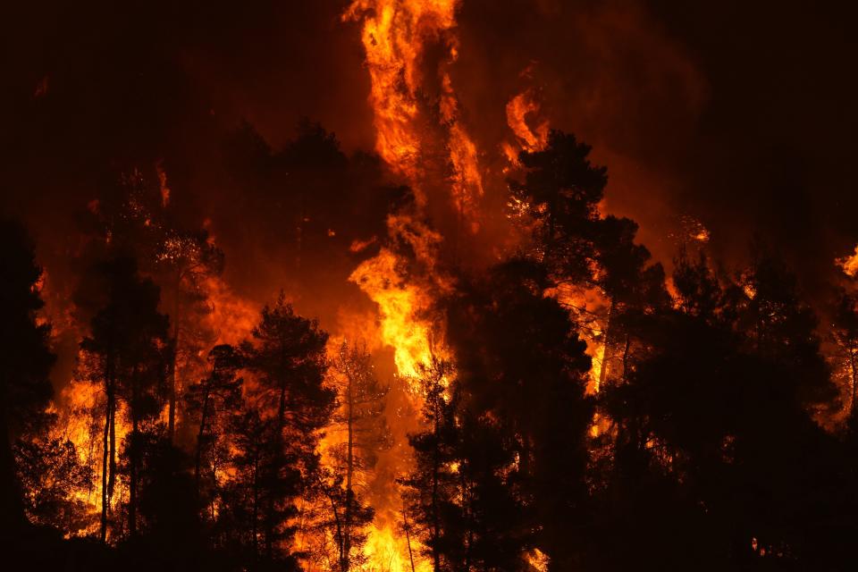 Flames approaching at Gouves village on the island of Evia, about 185 kilometers (115 miles) north of Athens, Greece, Sunday, Aug. 8, 2021. Pillars of billowing smoke and ash are blocking out the sun above Greece's second-largest island as a days-old wildfire devours pristine forests and triggers more evacuation alerts. (AP Photo/Petros Karadjias)