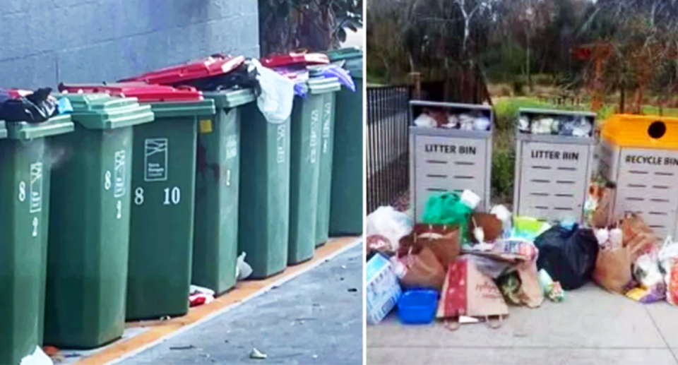 Overflowing bins in the Inner West LGA. 