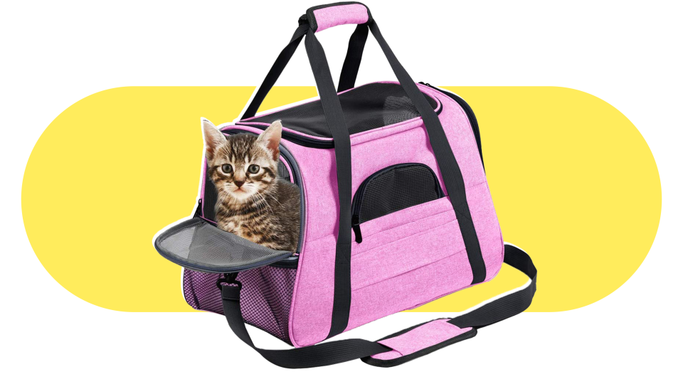 Barbiecore pet products: carrier