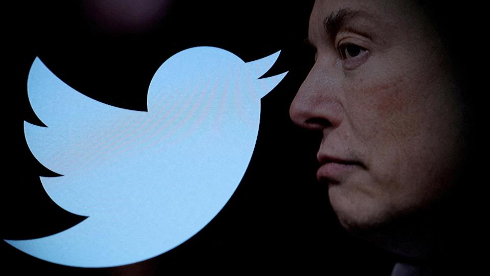 Logo de Twitter y el rostro de perfil de Elon Musk