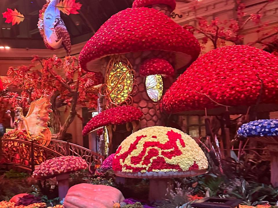 mushroom display at the botanical garden in las vegas