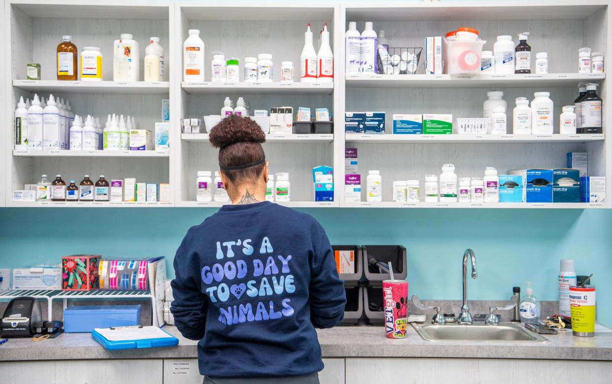 Jeanné Gentry works at VetCheck on their first day of business on Feb. 1, 2024.