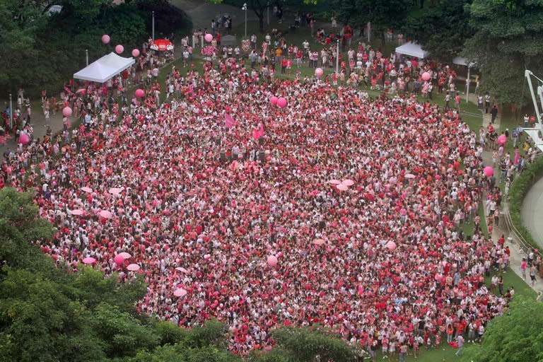 More than 10,000 people turned up at Singapore's Hong Lim park on June 18, 2011 to support the 'Pink Dot' campaign for equal gay rights in the island city-state