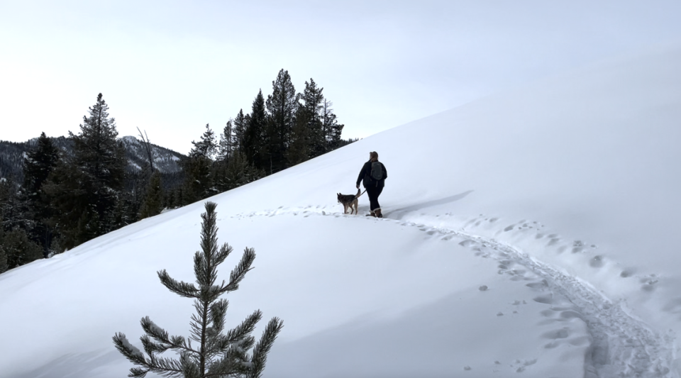 Emily Turner, of Boise, snowshoes with Galena Lodge “loaner dog” Rio on Galena View Trail on Friday, Jan. 26, 2024. Nicole Blanchard/nblanchard@idahostatesman.com