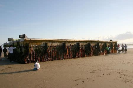 Oregon Parks and Recreation Department photograph shows a very large and heavy dock measuring 7' tall, 19' wide and 66' long that has washed ashore on Agate Beach one mile north of Newport, Oregon on June 6, 2012. REUTERS/Oregon Parks and Recreation Department/Handout