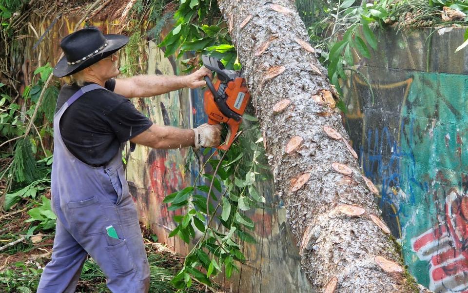 Um den Baum zurechtzuschneiden, greift Konny Reimann auf schweres Gerät zurück. (Bild: Kabel Eins)