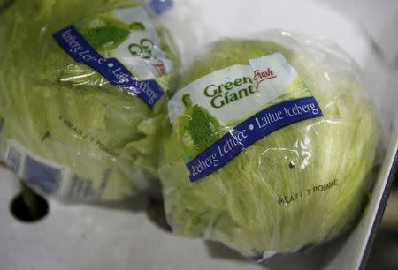 Iceberg lettuces are seen in a box at a vegetable market, in London, Britain February 3, 2017. REUTERS/Peter Nicholls
