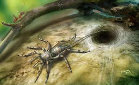A Cretaceous arachnid Chimerarachne yingi, found trapped in a 100 million year old amber from Myanmar, appears in a handout illustration provided on February 5, 2018. Illustration by Dinghua Yang/University of Kansas/Handout via REUTERS