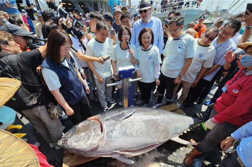 屏東縣長周春米（持麥克風者）宣布，今年屏東第一鮪身長236公分、重達301公斤。（圖／中國時報記者羅琦文攝）