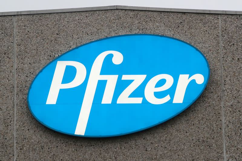 FILE PHOTO: A logo of Pfizer is seen at the entrance to the Pfizer factory in Puurs
