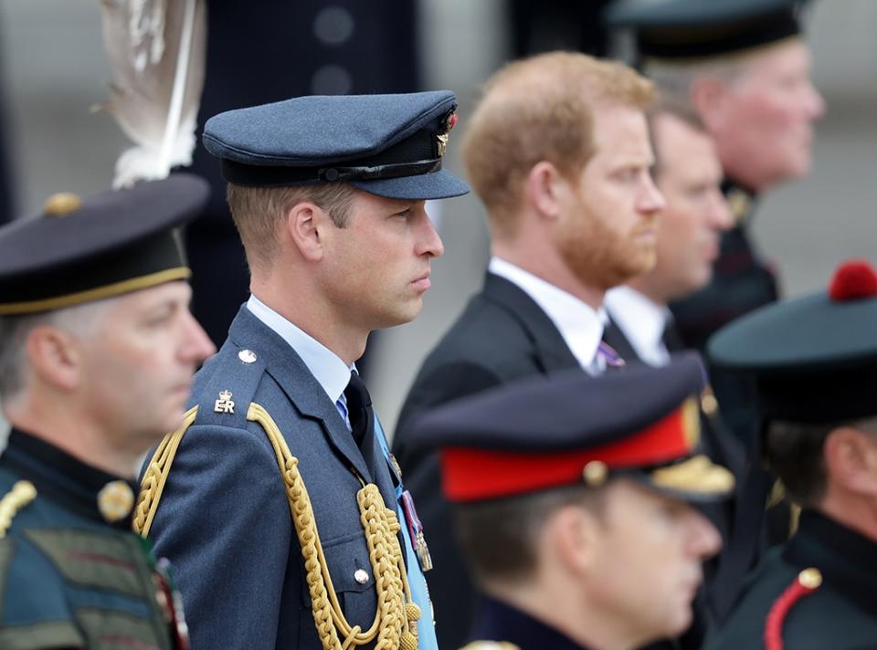 Prince Harry and Prince William, Queen Elizabeth Funeral