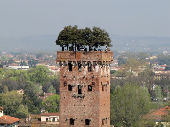 Original inspiration: The 14th-century Guinigi Tower in Lucca, Italy