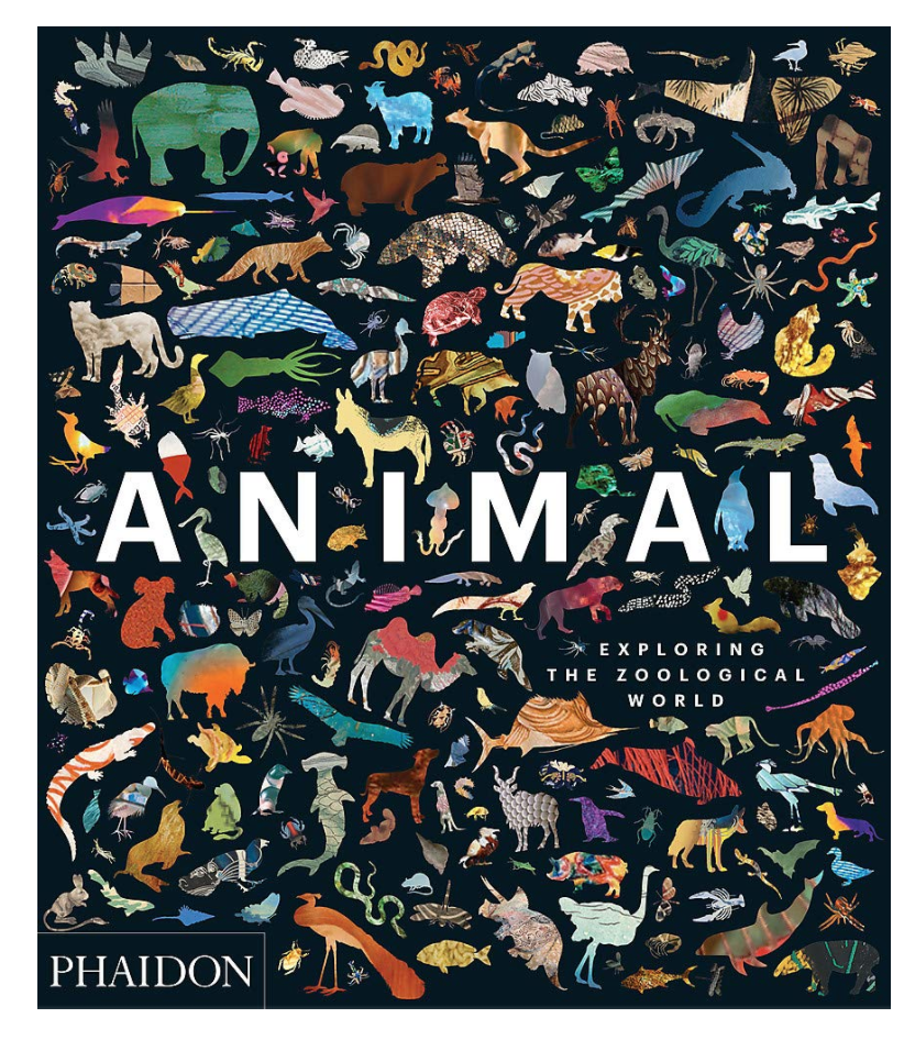 Animal: Exploring the Zoological World Coffee Table Book (Photo via Amazon)